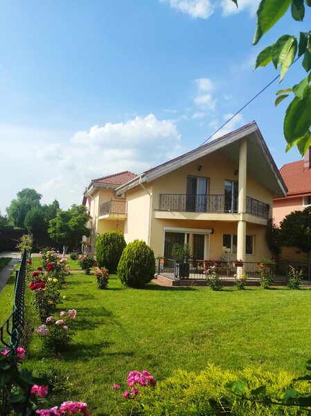 Clinceni, str. Putul Olteni