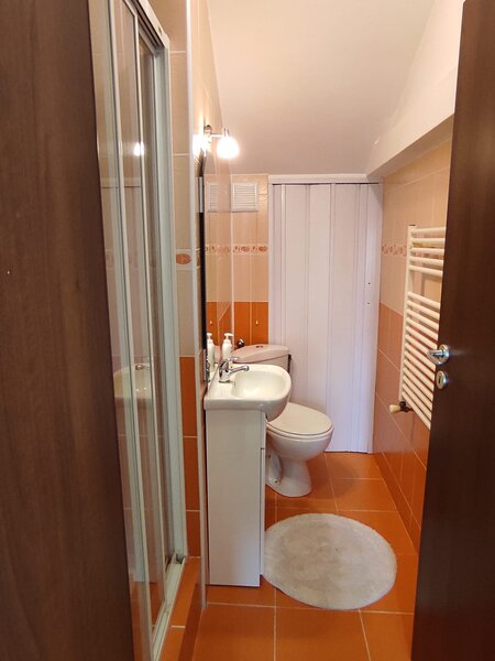 Clinceni, str. Putul Olteni