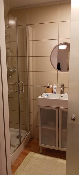 Clinceni, str. Putul Olteni