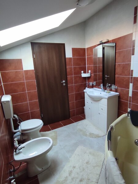 Clinceni, str. Putul Olteni