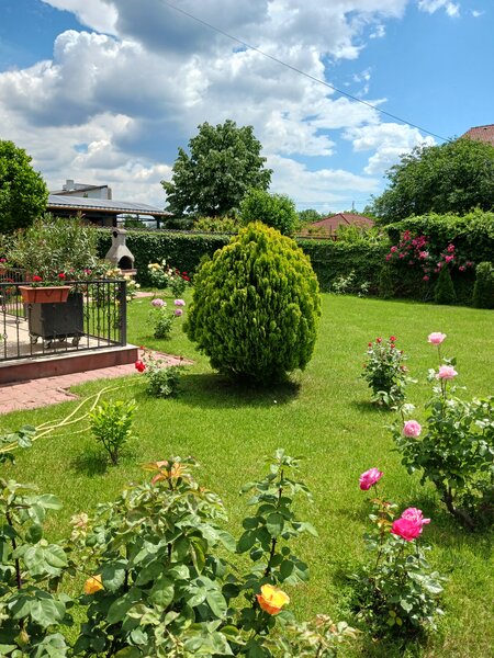 Clinceni, str. Putul Olteni